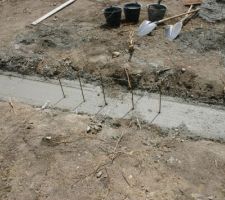 Amorces de ferrailles