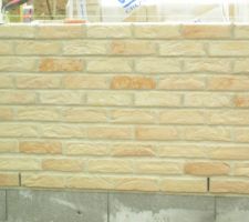 La brique prise de pres afin de voir les joints