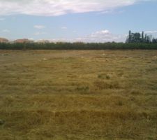 Vue depuis la parcelle du voisin de derri&egrave;re bien en face (approximativement)