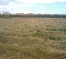 Vue depuis la parcelle du voisin de derri&egrave;re cot&eacute; droit (approximativement)