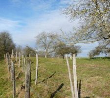 Vue en fond de terrain : pr&eacute;s non constructibles