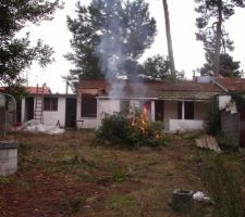 Nettoyage du terrain apr&egrave;s achat