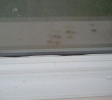 Détérioration des joints par les oiseaux.
Foutue corneilles !!!