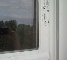 Détérioration des joints par les oiseaux.
Foutue corneilles !!!