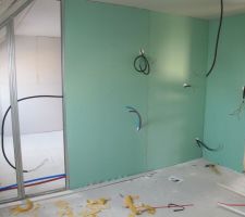 La salle de bain , tout de vert v&eacute;tu