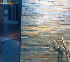 Frise pour douche italienne SDB parentale