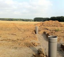 Vue sur notre terrain !