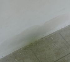 L'arrachage des plinthes à décollé le plâtre, il faut reboucher de grands trous, mais on y arrive !