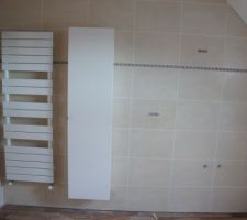 Autre coté sdb : meuble colonne; à droite emplacement future baignoire (pour plus tard)