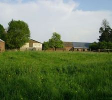 Une partie de notre terrain