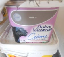 Couleur buche pour notre salon salle a manger