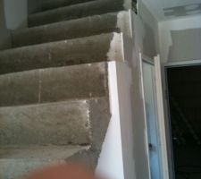 Escalier une fois la cloison enlevée!! C'est mieux!!