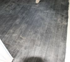 Lino dans la buanderie