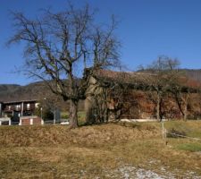 Le terrain actuel vu du sud. La maison se trouvera   ou - &agrave; la m&ecirc;me place que la grange actuelle.