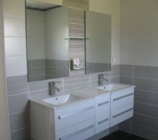 Meuble de salle de bains poser y a plus qu'à, il man que 2 applique que je vais poser après avoir déménager.