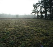 La photo de notre terrain. Vue SUD