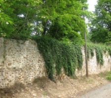 Route d'accés, terrain à la limite haute du mur