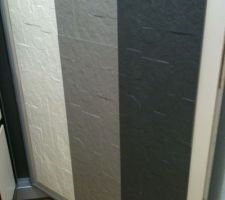 Carrelage de mur, pure ardoise, Cerabati
