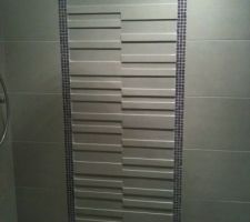 Idée pour intérieur douche (SDB)
