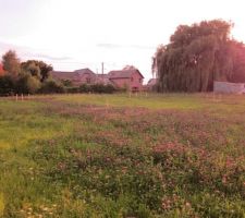 Vue oppos&eacute;e de la borne pr&eacute;c&eacute;dente