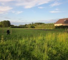Entr&eacute;e sur le terrain avec vue sur les quatres chaises