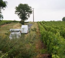Arrivée des fenêtres