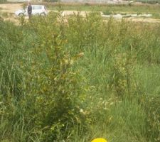 Mise en place borne, petit mais bon bien plac&eacute;