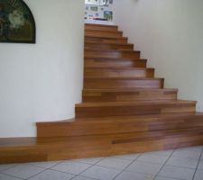 L'escalier beton recouvert en bois,