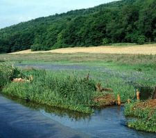 L'inondation de 2001 - avant l'aménagement des écoulements, depuis plus rien.