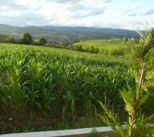 Vu de la terrasse arrondie