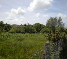 Voici le terrain tel qu'il était au mois de mai.