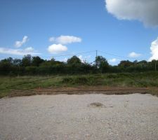 Voici le terrain début août. Le trait noir, c'est moi qui l'ai tracé sur la photo