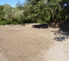 D&eacute;but du travail sur le terrain