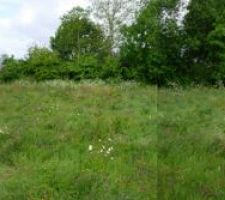 Panoramique terrain, vue sur l'ouest