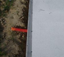 Mise en place du traitement anti termites