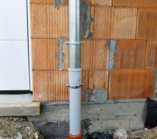 Dauphin en PVC
