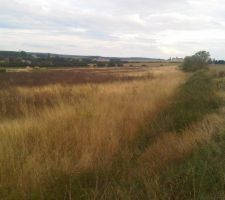 Terrain avant am&eacute;nagement