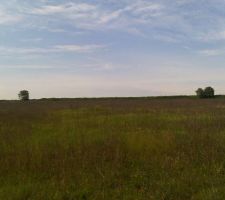 Emplacement approximatif de notre terrain avant travaux