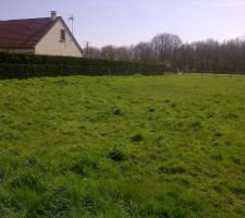 Le terrain, vu de l'angle coté nord-Ouest