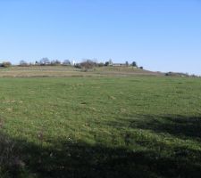 Voila notre terrain!