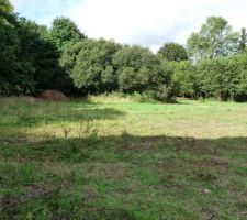 Voici la partie constructible du terrain (1000 m&sup2;)