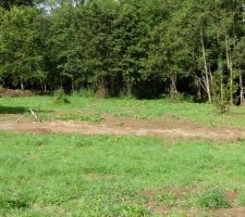 Et l&agrave;, la partie inconstructible (1800 m&sup2;)