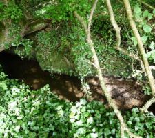 Le cours d'eau qui coule en sous-bois au fonds du terrain
