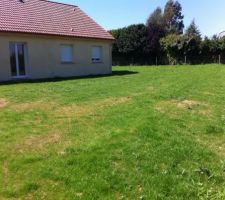 4 semaines, &agrave; l'arri&egrave;re