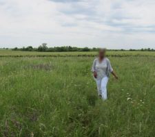 Vue du terrain avec la vigne et la for&ecirc;t en arri&egrave;re plan (plein sud).
Coup de coeur imm&eacute;diat!