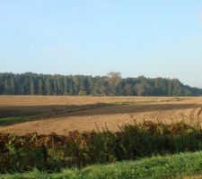 Voici une vue d'ensemble du lotissement (photo du lotisseur)