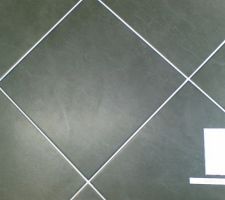 Carrelage pour noir pour les wc.