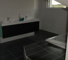 Derrière le meuble vasque se cachent à gauche la douche et à droite les wc