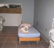 Le "fantôme" de la maison ....