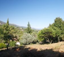 Vue après déboisement